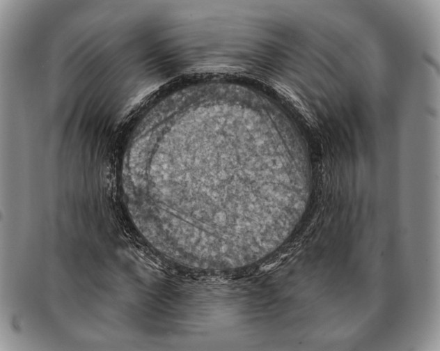 X0000096680872200803041238