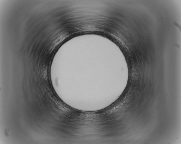 X0000096680873200803041238