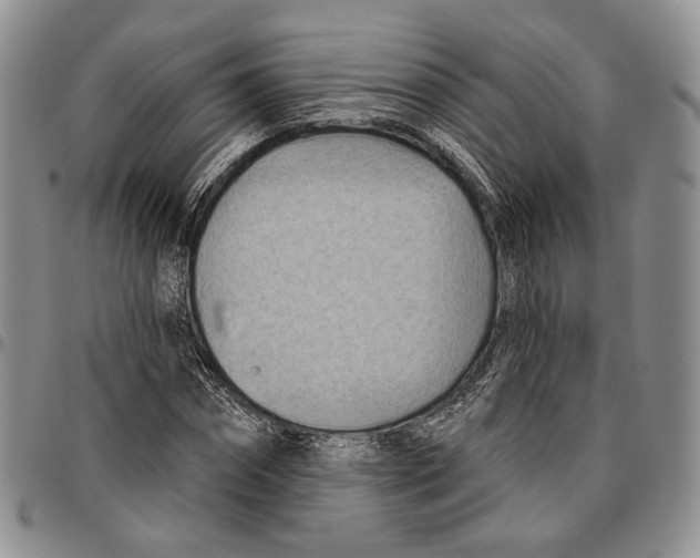 X0000096680874200803041238