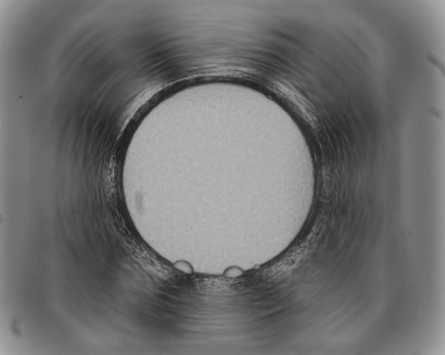 X0000096680875200803041238