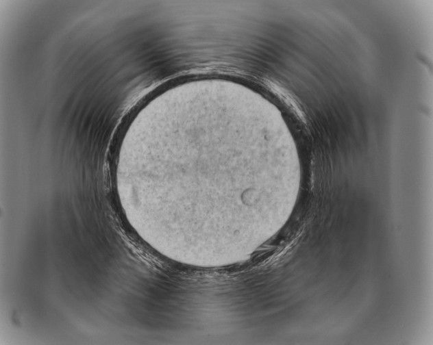 X0000096680876200803041238