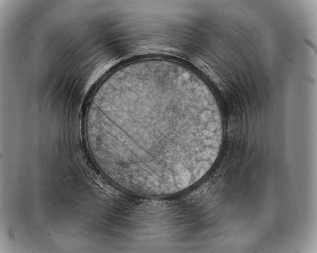 X0000096680877200803041238