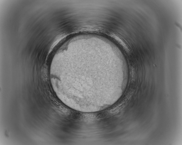 X0000096680878200803041238