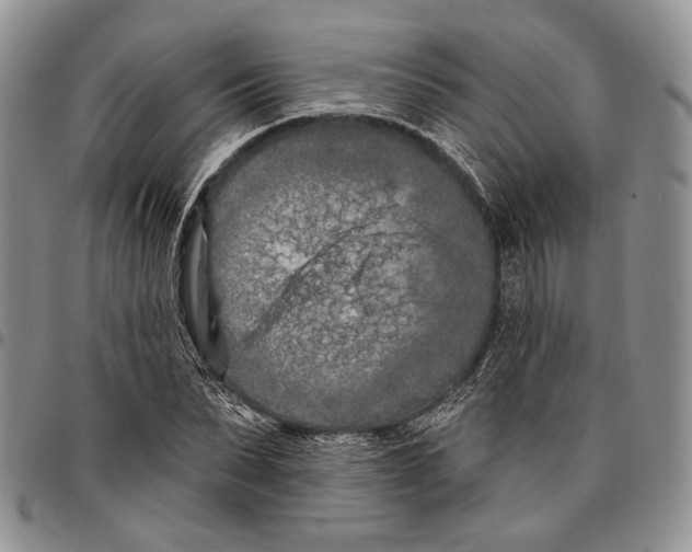 X0000096680879200803041238