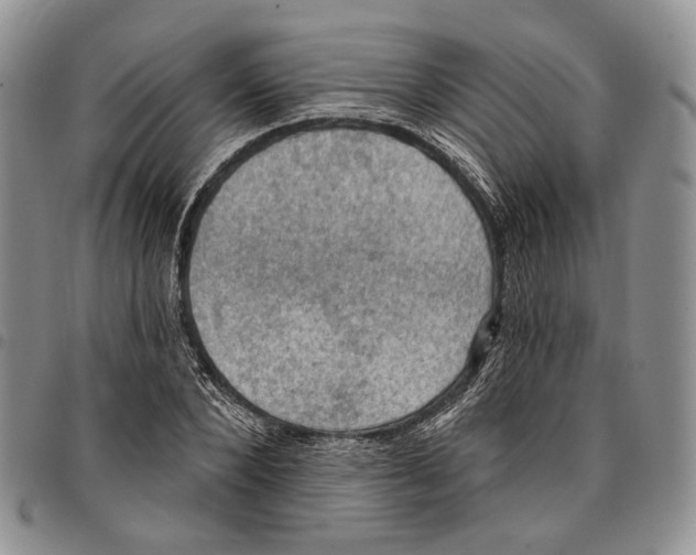 X0000096680880200803041238