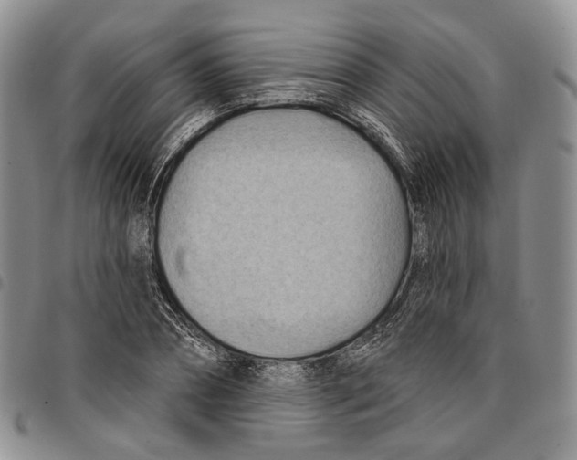 X0000096680882200803041238