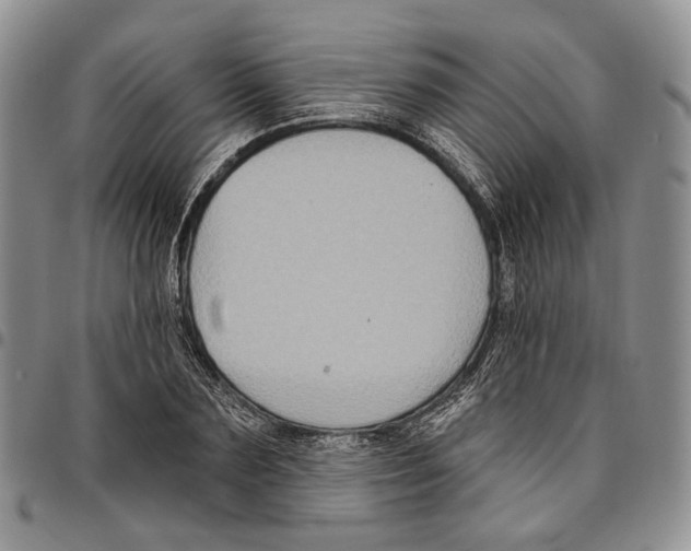 X0000096680883200803041238