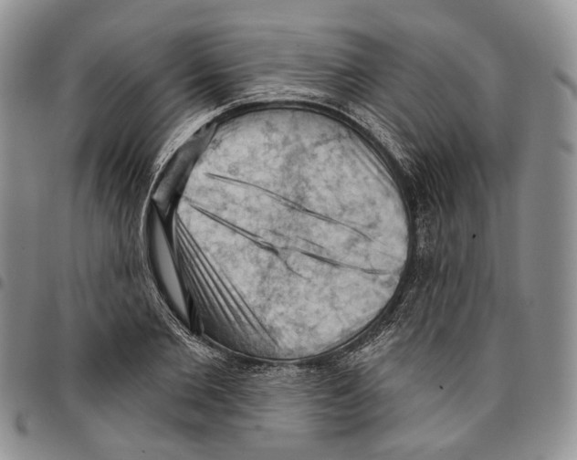 X0000096680885200803041238
