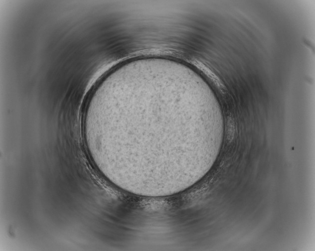 X0000096680886200803041238