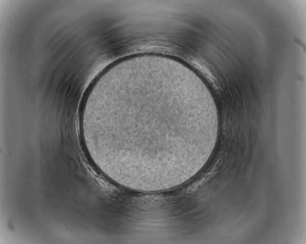 X0000096680888200803041238