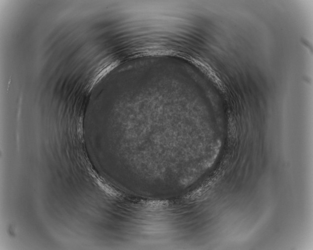 X0000096680889200803041238