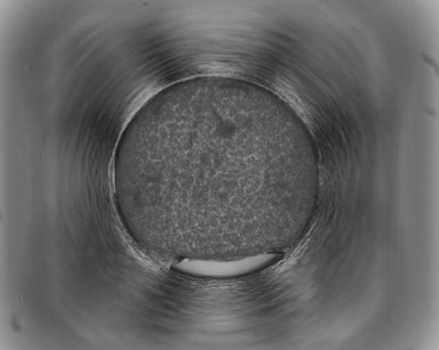 X0000096680891200803041238