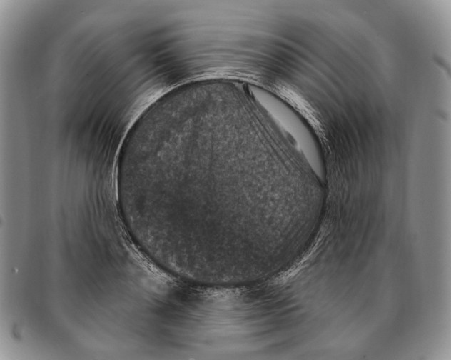 X0000096680892200803041238