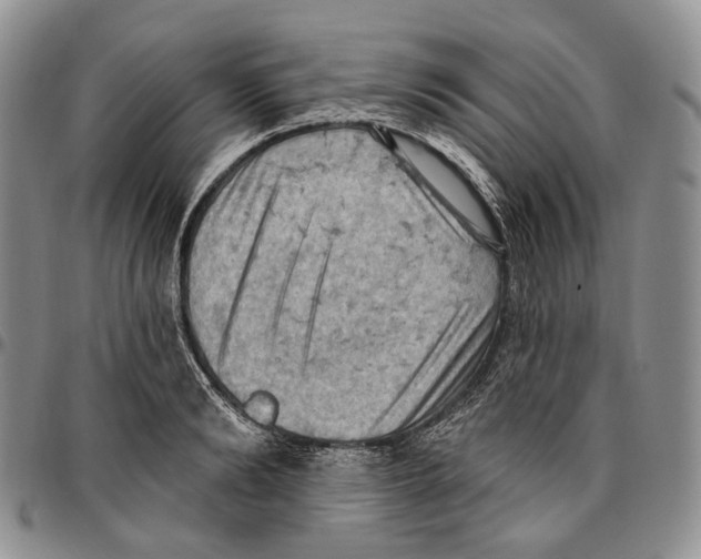 X0000096680894200803041238