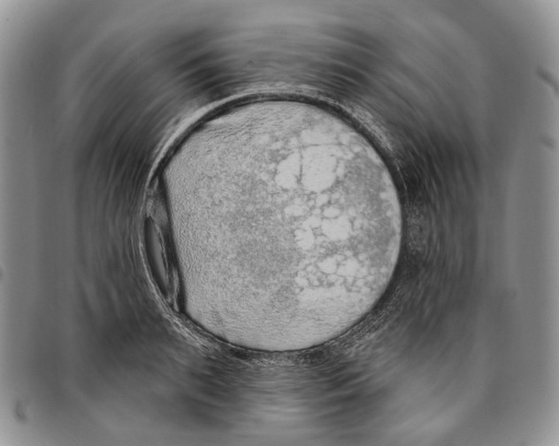 X0000096680895200803041238