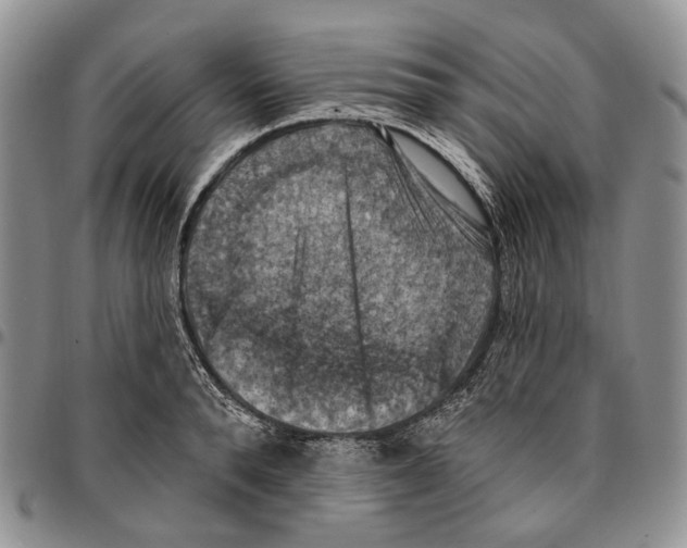X0000096680896200803041238