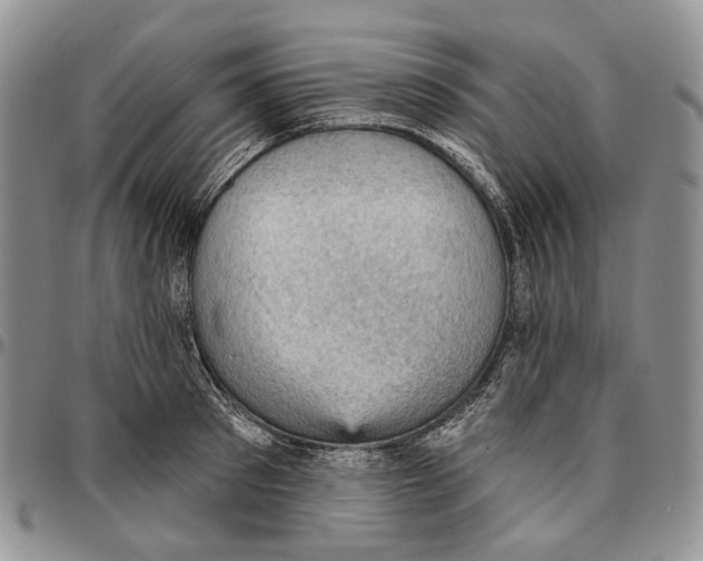 X0000096680897200803041238