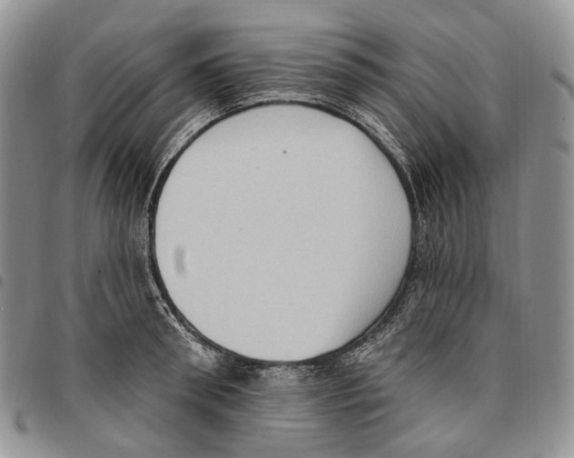 X0000096680898200803041238