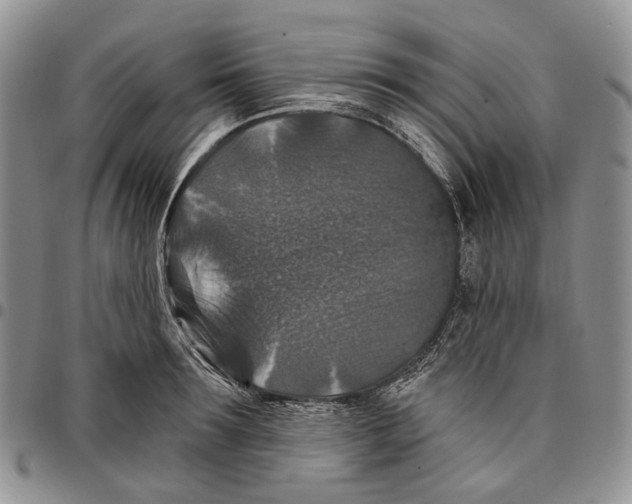 X0000096680899200803041238