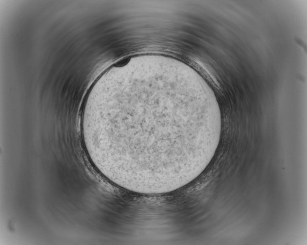 X0000096680900200803041238