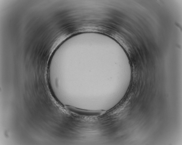 X0000096680901200803041238