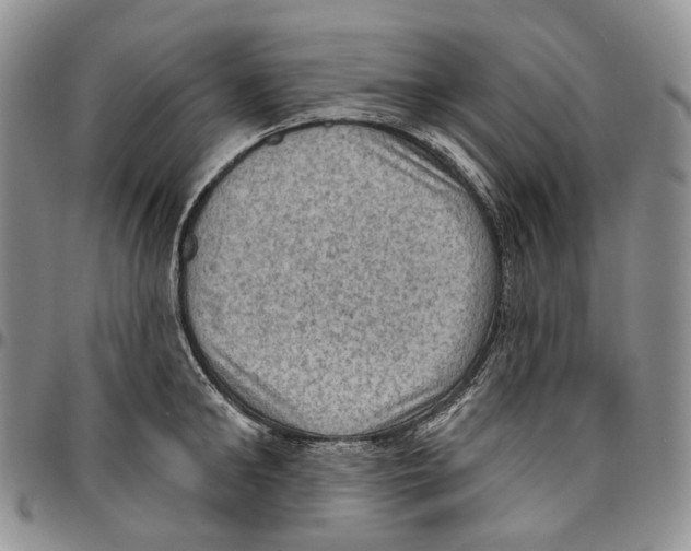 X0000096680902200803041238