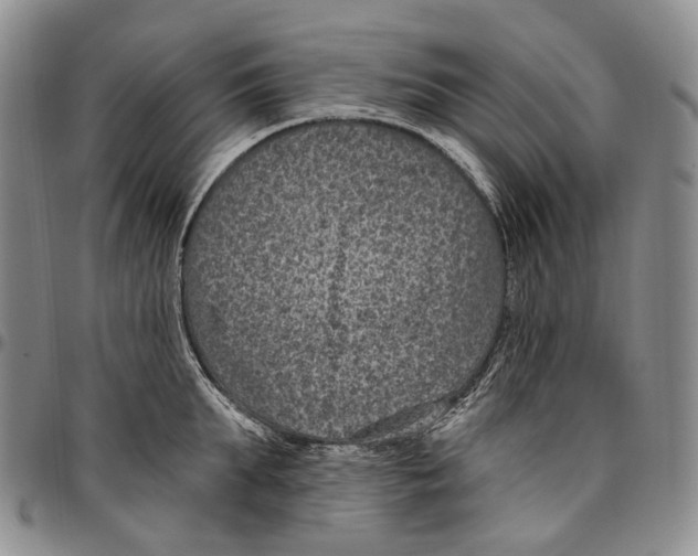 X0000096680903200803041238