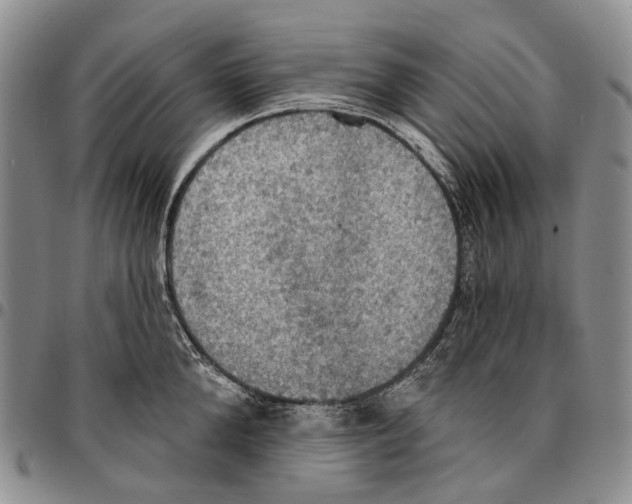 X0000096680904200803041238
