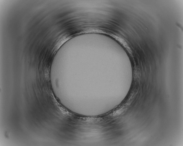 X0000096680905200803041238