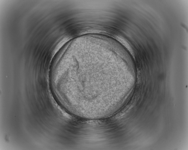 X0000096680906200803041238