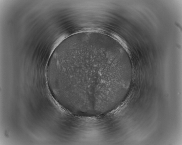 X0000096680907200803041238