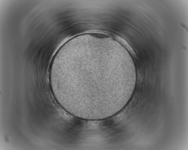 X0000096680908200803041238