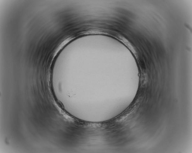 X0000096680909200803041238
