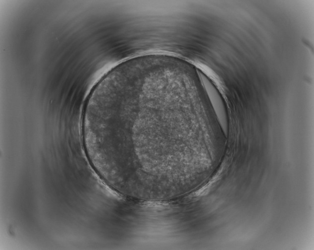 X0000096680910200803041238