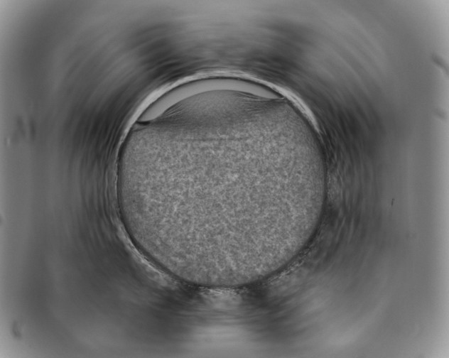 X0000096680911200803041238