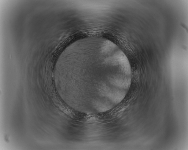 X0000096680913200803041237