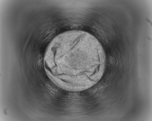 X0000096680914200803041237