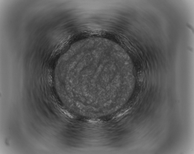 X0000096680916200803041237
