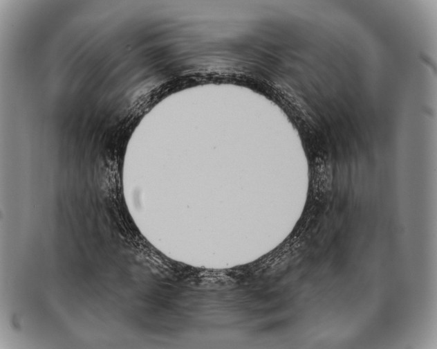X0000096680918200803041237