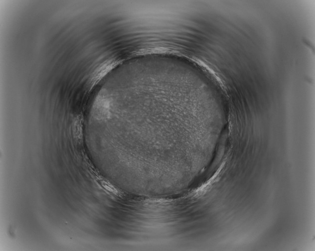 X0000096680921200803041237