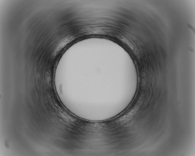 X0000096680922200803041237