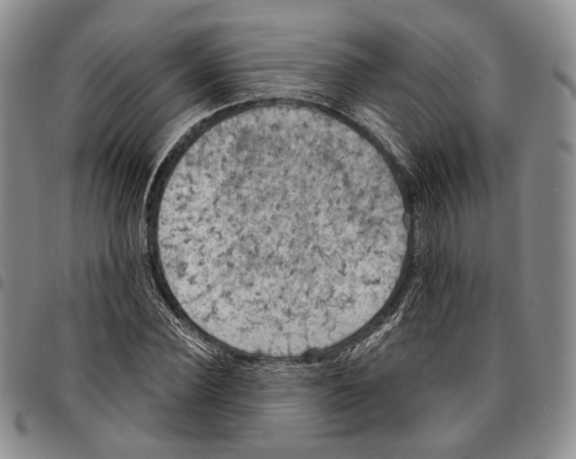 X0000096680924200803041237