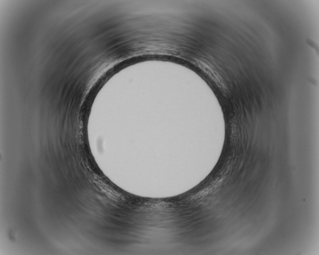 X0000096680926200803041237