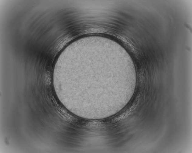 X0000096680929200803041237