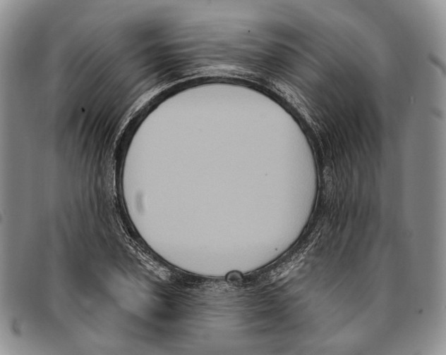 X0000096680931200803041237