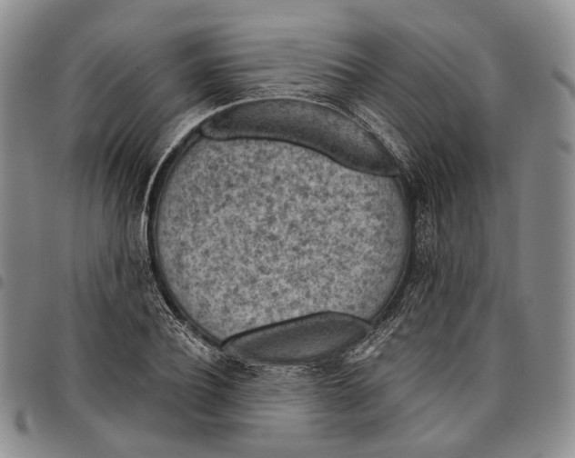 X0000096680932200803041237