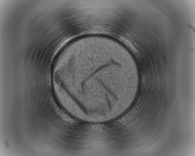 X0000096680934200803041237