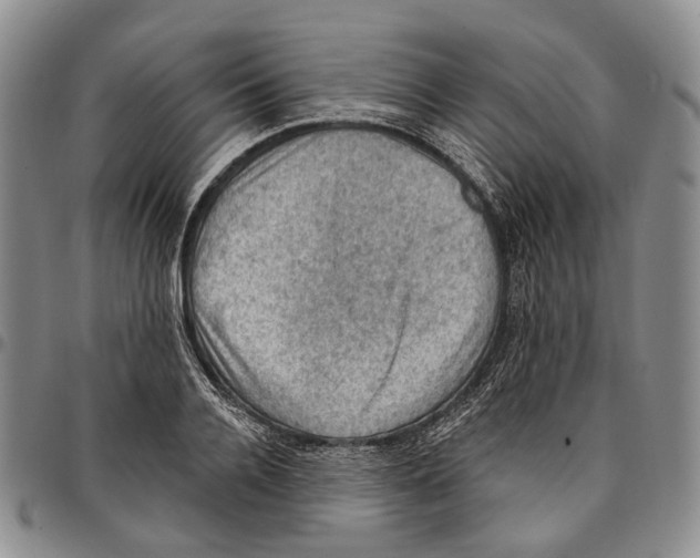 X0000096680936200803041237