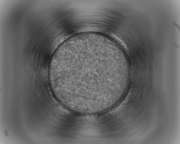X0000096680937200803041237