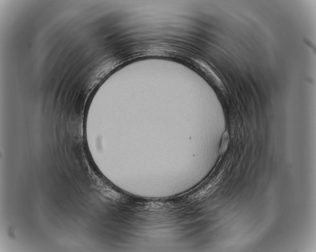 X0000096680938200803041237
